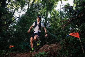 BIB: 2014
                            <button type="button" onclick="openModal(22629543)" class="btn btn-primary btn-sm float-right btn-popup" data-toggle="modal" data-target=".modal-high-quality">
                        <i class="fas fa-shopping-cart"></i> Add to Cart
                    </button>
                                            <button type="button" onclick="isThisMe(22629543, true)" class="btn btn-success btn-sm float-right btn-popup btn-isme hidden" data-toggle="tooltip" data-placement="bottom" title="นี่คือรูปของคุณใช่ไหม คลิกที่นี่เพื่อเอาเข้าอัลบั้ม">
                        <i class="fas fa-plus"></i> Add to album
                    </button>
                    <button type="button" onclick="isThisMe(22629543, false)" class="btn btn-warning btn-sm float-right btn-popup btn-isnotme hidden">
                        <i class="fas fa-ban"></i> Remove from album
                    </button>